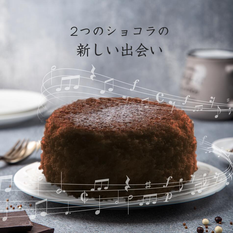 ガトーショコラ ショコラ・デュオ チーズケーキ 誕生日 ホール バースデイ 記念日 スイーツ 大人 子供 ギフト プレゼント お中元 お取り寄せ 父の日 母の日 クリスマス ホワイトデー おすすめ 洋菓子 チョコレート チョコ ショコラ ガトーショコラ ティラミス 入学祝い 進級祝い 退職祝い