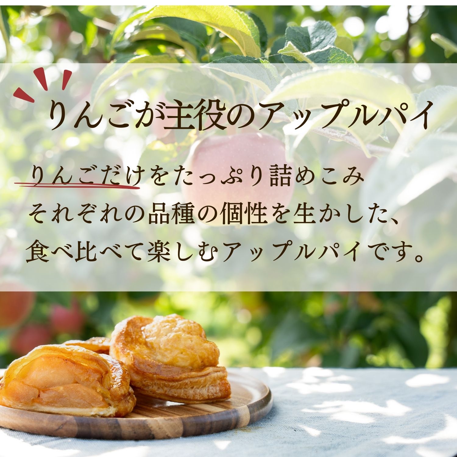 【送料無料】アップルパイ 食べ比べ4種セット ...の紹介画像3