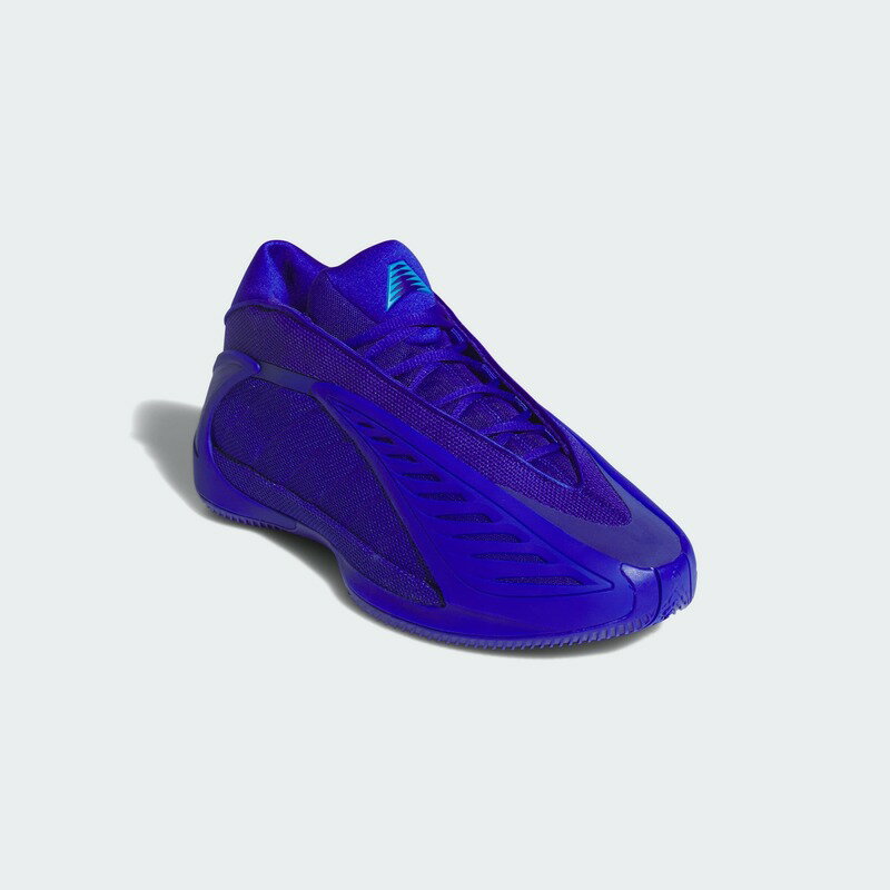 アディダス アンソニー エドワーズ 2 AE2 adidas ANTHONY EDWARDS 2 JQ9501 メンズ バスケットボールシューズ 26ssadbb (jq9501)