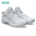 アシックス ゲルフープ V17 ナロー asics GELHOOP V17 NARROW 1063a098-100 ユニセックス バスケットボールシューズ 25sptbf(1063a098100) 25sd(4)