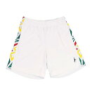 IN THE PAINT インザペイント SHORTS ポケット付き バスパン バスケットボールウェア 2025SS(itp253060103) 2502bwtk 返品交換不可