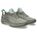アシックス グライドノヴァFF4 asics GLIDENOVA FF4 1063A105-020バスケットボールシューズ 25fatbf 1016tbf(10...