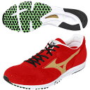 アップルオリジナル マラソンシューズ ミズノ ウエーブクルーズジャパン SP MIZUNO WAVE CRUISE JAPAN SP 1802rsq(8rq30004) 2110stk