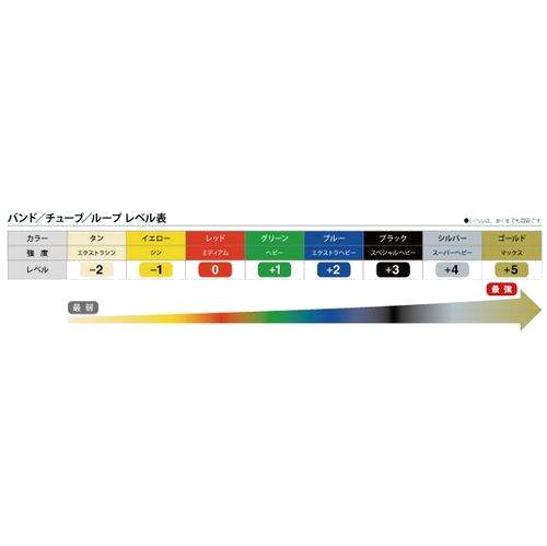 D＆M Thera-Band/セラバンド セラチューブ(ブリスターパック)　ストレッチ エクササイズ 20htr(ttb13)