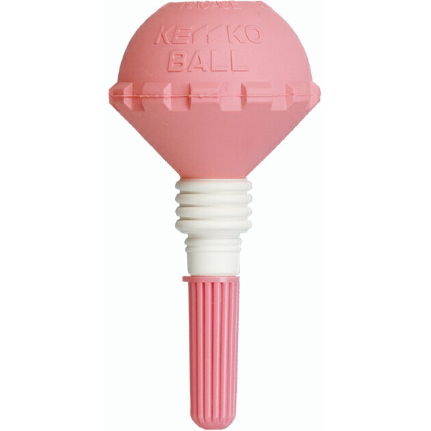 ケンコーソフトテニスポンプ ソフトテニス 空気入れ 1個(tsphp1-v)