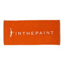 IN THE PAINT CUyCg TOWEL oXPbg{[ ^I 2024SS(itp243098501)