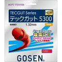 ゴーセン GOSEN ソフトテニスガット テックガット5300(ss603re) tgsap