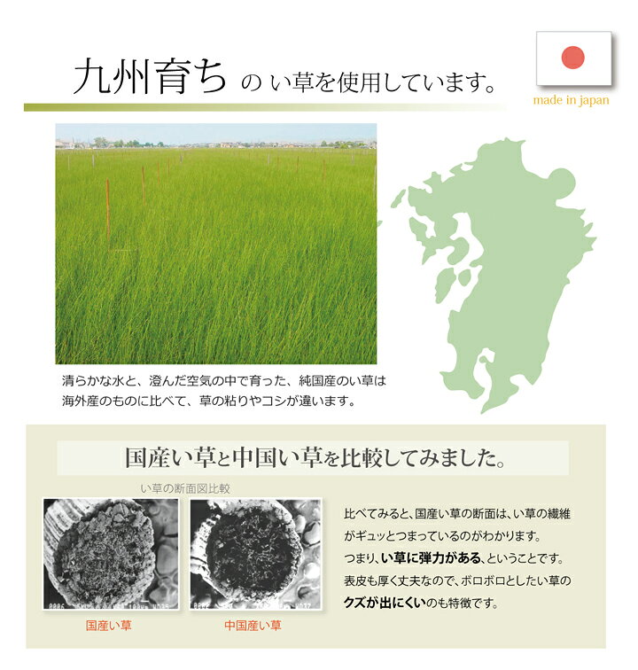 イケヒコ 枕 まくら い草枕 消臭 ピロー 国産 「おとこの枕 ハイパー」 約43×63cm ...