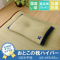 イケヒコ 枕 まくら い草枕 消臭 ピロー 国産 「おとこの枕 ハイパー」 約43×63cm 中材:低反発ウレタンチップ シンプル 7557309【代引き不可】【北海道沖縄離島は配送不可】-お取り寄せ品-