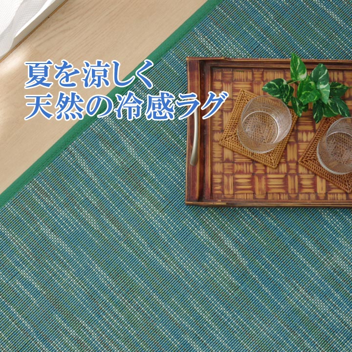 イケヒコ ラグ カーペット 無地 シンプル バンブー 竹 「DXフォース」 グレー 約95×150cm カジュアル グレー 5370420【代引き不可】【北海道沖縄離島は配送不可】-お取り寄せ品-
