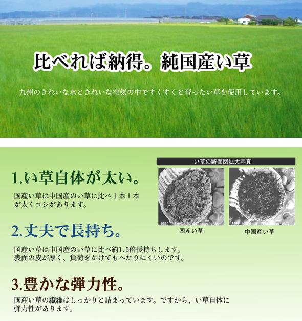 イケヒコ 純国産 い草花ござカーペット 「アシ...の紹介画像3