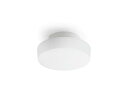アイリスオーヤマ LED小型シーリングライト 1200lm 昼光色 SCL12D-MCHL - 0501-4967576502801-ds -お取り寄せ品-