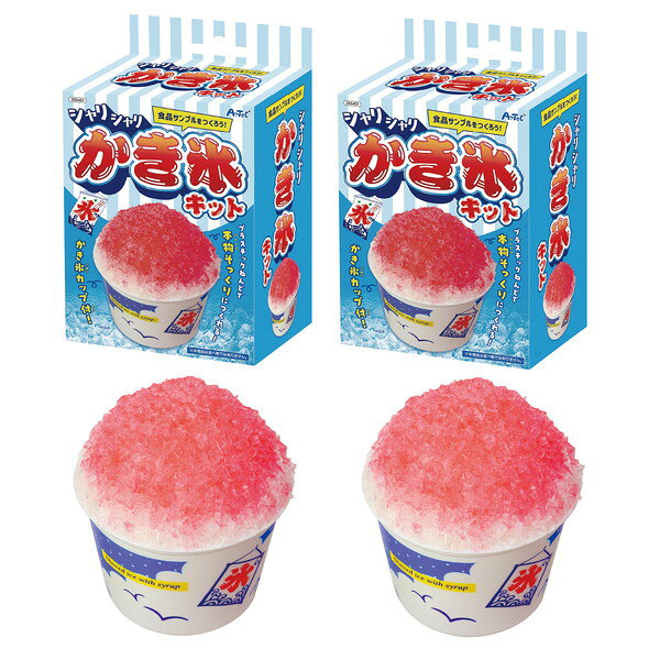 食品サンプルをつくろう!シャリシャリかき氷キット 2個組本物そっくり！夏気分満点！かき氷サンプル工作セット！商品説明プラスチックねんどを使って、本物そっくりのシャリシャリかき氷食品サンプルが作れる工作キットです。カキ氷カップ付きで、夏のインテリアやお店屋さんごっこにもぴったり！短時間で完成できるので、お子様や初心者でも簡単にオリジナルかき氷を作ることができます。リアルな氷の質感や色鮮やかなシロップまで再現でき、食品サンプル作りの基礎が楽しく学べます。完成した作品は飾って楽しんだり、プレゼントにもおすすめ。兄弟や友達と一緒に楽しめる2個セットで、夏休みの自由研究や思い出作りにもぴったりな体験キットです。【対象年齢】9歳以上【目安制作時間】30分【別途用意するもの】熱湯・耐熱容器、紙（A4・3枚ほど）、わりばし、タオル、接着剤、はさみ検索キーワードかき氷工作　食品サンプル　フェイクスイーツ　フェイクフード　シャリシャリ質感　プラスチックねんど　カップ付き　夏　お店屋さんごっこ　工作キット　クラフトキット　ワークショップ　イベント　図工　工作　クラフト　父の日　母の日　ギフト　プレゼント　自由研究　夏休み　学校　小学校　景品　プレゼントディレクトリID568546注意本商品は、食べ物ではありません。商品サイズ完成サイズ：約φ96×110mmセット内容シャリシャリかき氷キット（かき氷カップ×1、ねんど×1、氷のもと（白）×2、氷のもと（赤）×2）×21個重量（g）135材質かき氷カップ：プラスチック、ねんど：樹脂系中空体・水・界面活性剤・合成糊剤・繊維・調整剤・防腐剤・抗ウイルス剤、氷のもと：プラスチック1個梱包形態袋入り1個梱包サイズ横（mm）150品番59022JANコード4521718590226■ ご注意 ■・ ご注文のタイミングにより、納期がかかる、又は完売などの場合もございます。・ 商品の情報/詳細、画像について保証は致しかねます。・ 画像はイメージです。商品以外が含まれる、又は商品と異なる場合があります。・ 必ずメーカーホームページなど合わせてご確認ください。・ ご注文確定後のキャンセル・返品・交換は出来かねます。・ 北海道、沖縄、その他離島は配送致しかねます。不具合対応、交換対応のお問い合わせは、下記専用の窓口へご連絡をお願いします。アーテック　電話：072-990-5656　（平日9-18時・土曜9-15時：日曜と祝日はお休みです）