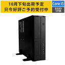 【10月下旬より出荷予定】デスクトップPC Core i5-12400/メモリ:16GB/SSD:1TB NVMe/300W Barikata ROGRESS-436203 BTOパソコン デスクトップパソコン 新品 7777-P'ROGRESS436203 soku