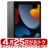 ڿ ̤ʡApple åץ iPad 9 256GB  Wi-Fiǥ 10.2 MK2N3J/A 2021ǯǥ CPUApple A13 ڡ쥤 ѥå  4549995250015