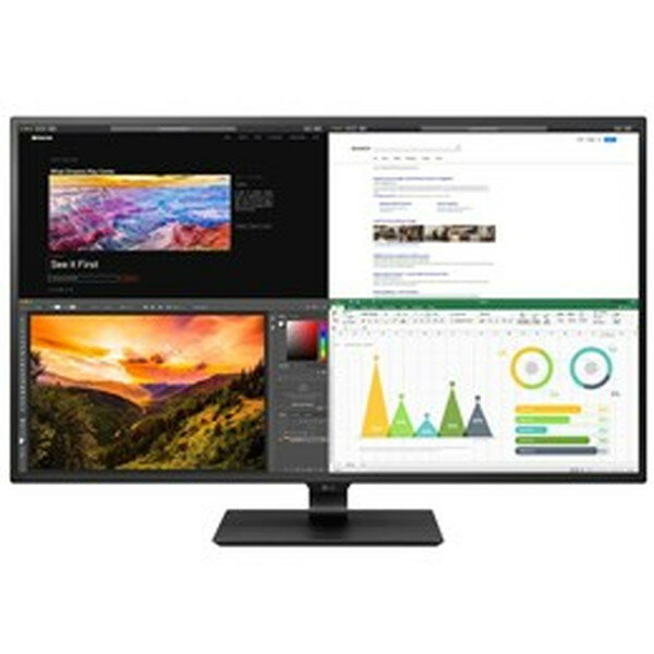 PCモニター・液晶ディスプレイ LG Electronics / LGエレクトロニクス 42.5インチ 4K(3840×2160) IPSノングレアパネル モニター 43UN700-BAJP [42.5インチ] 【キャンセル不可・北海道沖縄離島配送不可】 0057-4989027022751-ds 4989027022751-ds