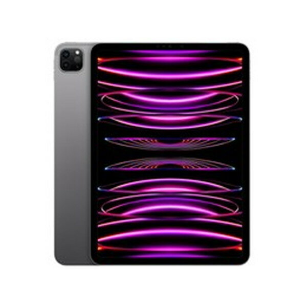 タブレットPC アップル / APPLE iPad Pro 11インチ 第4世代 Wi-Fi 1TB 2022年秋モデル MNXK3J/A [スペースグレイ] 【キャンセル不可・北海道沖縄離島配送不可】 0057-4549995347432-ds