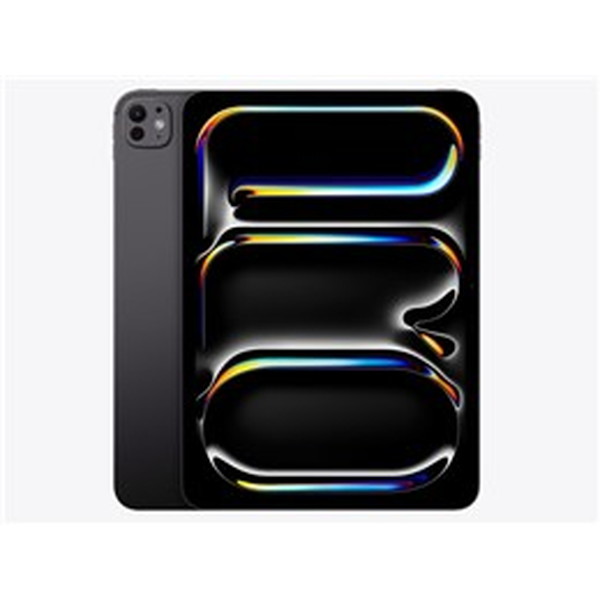 タブレットPC アップル / APPLE iPad Pro 11インチ Wi-Fi 256GB 2024年春モデル MVV83J/A [スペースブラック] 【キャンセル不可・北海道沖縄離島配送不可】 0057-4549995451214-ds