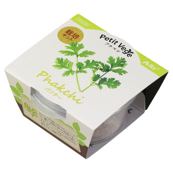 ARTEC アーテック プチベジ パクチー 栽培 家庭菜園 栽培キット 野菜 やさい 102928 【キャンセル不可・北海道沖縄離島配送不可】 -お取り寄せ- 4548030029289