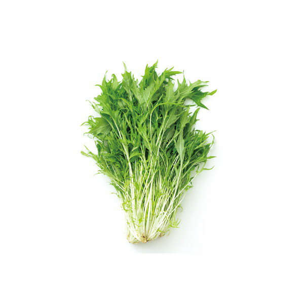 ARTEC アーテック お家で楽しく栽培キット 水菜 栽培 家庭菜園 栽培キット 野菜 や...