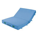 【受注生産品・キャンセル不可】エバニュー(EVERNEW) 屋内カラーエバーマット二ツ折 200x300x40cm EGD214【代引・日時指定・北海道沖縄離島...