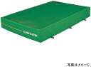 【受注生産品・キャンセル不可】エバニュー(EVERNEW) 屋内外兼用エバーマット エバーメッシュマット2x3x0.3 EGD001【代引・日時指定・北海道沖縄...