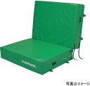 【受注生産品・キャンセル不可】エバニュー(EVERNEW) 屋内外兼用エバーマット エバーマット二ツ折2x3x0.3 EGD061【代引・日時指定・北海道沖縄離...