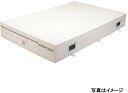 【受注生産品・キャンセル不可】エバニュー(EVERNEW) 屋内用エバーマット 抗菌屋内エバーマット200x300x40 EGD224【代引・日時指定・北海道沖...