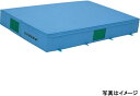 【受注生産品・キャンセル不可】エバニュー(EVERNEW) 屋内用エバーマット 屋内カラーエバーマット200x300x30 EGD203【代引・日時指定・北海道...