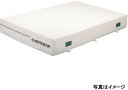 【受注生産品・キャンセル不可】エバニュー(EVERNEW) 屋内用エバーマット 抗菌屋内エバーマットすべり止付200x300x40 EGD244【代引・日時指定...