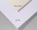 ARTEC アーテック 図工・美術・画材 スケッチブック A&Bオリジナルアートボード B3キャンバス 商品番号 143300 お取り寄せ 4548030433...