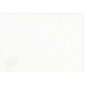 アームカンパニー Wave シェーンプラス ランチョンマット 43x30cm ホワイト ZDTD017 -お取り寄せ品-【北海道沖縄離島は配送不可】