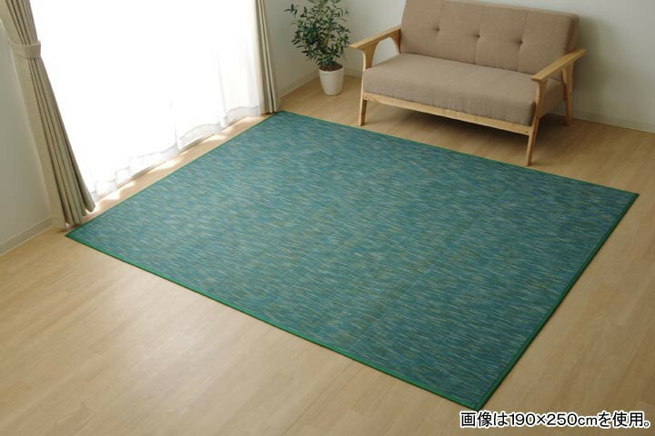 樂天商城 - イケヒコ ラグ カーペット 無地 シンプル バンブー 竹 「DXフォース」 グリーン 約190×250cm カジュアル グリーン 5370380【代引き不可】【北海道沖縄離島は配送不可】-お取り寄せ品-