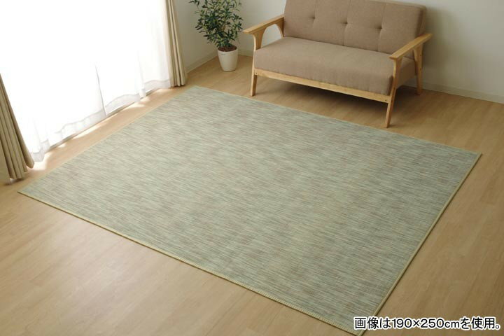 樂天商城 - イケヒコ ラグ カーペット 無地 シンプル バンブー 竹 「DXフォース」 アイボリー 約190×250cm カジュアル アイボリー 5370580【代引き不可】【北海道沖縄離島は配送不可】-お取り寄せ品-