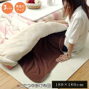 イケヒコ フリース こたつ用中掛け毛布 「ブリック中掛(フラット)」 ブラウン 約180×180cm フラットタイプ シンプル ブラウン 5834509【代引き不可】【北海道沖縄離島は配送不可】-お取り寄せ品-