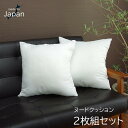 イケヒコ ヌードクッション 国産 セアテ 「ヌード」 アイボリー 約45×45cm 2枚組 シンプル アイボリー 9507820【代引き不可】【北海道沖縄離島は配送不可】-お取り寄せ品-