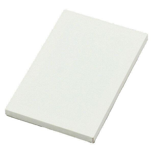 ARTEC アーテック ミニキャンバス 中 図工・工作・クラフト・ホビー 12276 【キャンセル不可・北海道沖縄離島配送不可】-お取り寄せ品- 4521718...