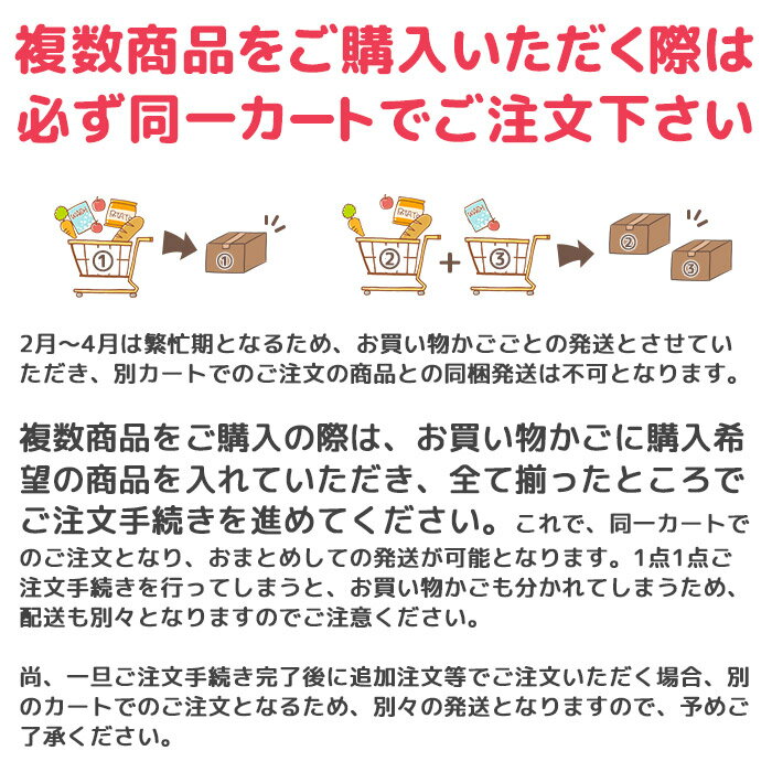 サンリオ シール＆アイロン両用 ネームラベル PEANUTS スヌーピー ウッドストック 2021年新作 日本製 入園 入学 手書き アイロン接着 3