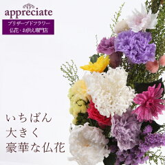 https://thumbnail.image.rakuten.co.jp/@0_mall/appreciate/cabinet/bigbig1190428.jpg