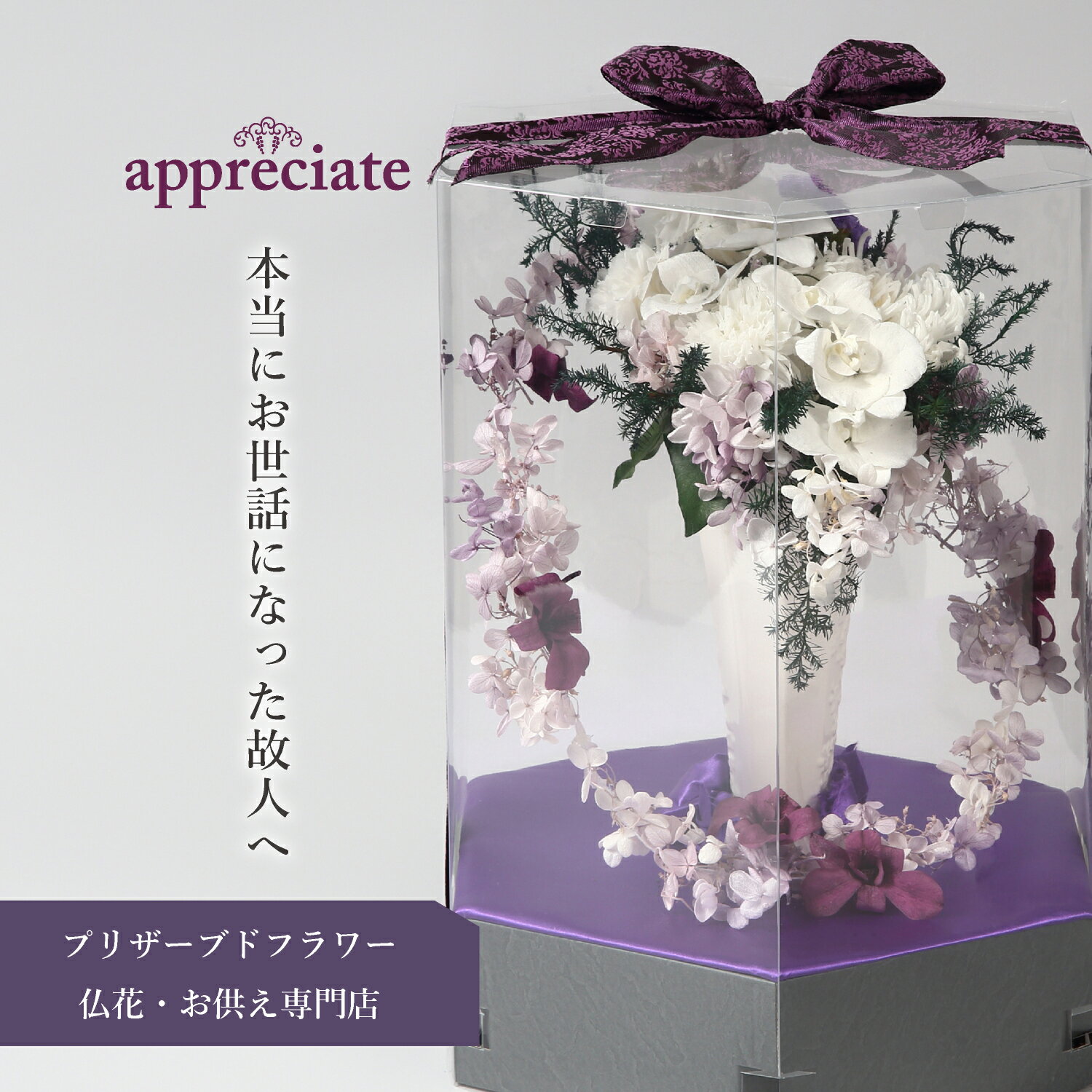 胡蝶蘭（全般） 明日澄 - 胡蝶蘭 - プリザーブドフラワー 仏花専門店 appreciate 送料無料