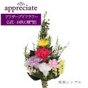 痈Vv 1{^Cv vU[uht[ ԐX appreciate 