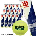 ウィルソン ツアースタンダード WILSON TOUR STANDARD 1箱 15缶 60球入 硬式 テニスボール 練習球