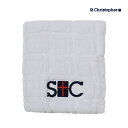 リストバンド 【ポスト投函対応商品】St.Christopher チェックリストバンド ロング stc-bca4605-wh　2024SS　ホワイト　セントクリストファー メンズ　レディース　テニス