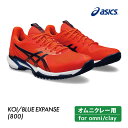 ASICS アシックス　SOLUTION SPEED FF 