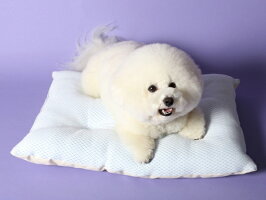 【COOL商品】超クール/WラッセルふわふわクッションM犬猫ベッドのappydog