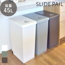 【当店限定特典付】ゴミ箱 ダストボックス 45リットル 45L 日本製 プッシュ 蓋 キャスター付き 蓋つき ロック 北欧 スリム マット 大容量 袋止め 分別...