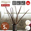 【365日出荷&当店限定特典付】リードディフューザー スティック 交換 交換リード リード単体 スティック単体 リードスティック 交換用 取り換え 取り替え おしゃれ ラタン 柳 自然素材 枝 棒 長い mercyu MRUS-RWOW MRUS-RRTN(4)