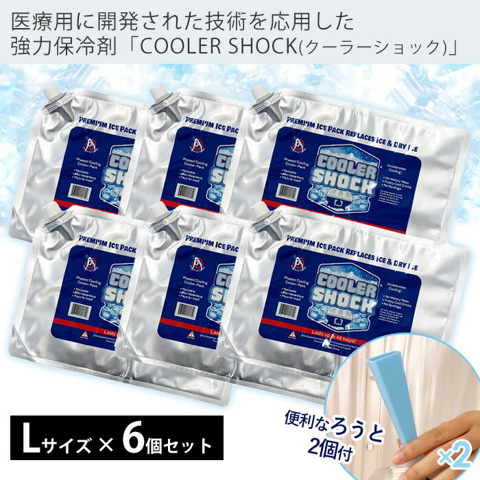[400円クーポン配布中]【当店限定特典付き】COOLER SHOCK クーラーショック 保冷剤 L 6個セット ソフト 強力 保冷パック ジェル 薄型 氷点下 高機能 医療技術 長時間 長持ち アウトドア キャンプ 災害 停電 レジャー 最強 防災グッズ クーラーボックス アメリカ