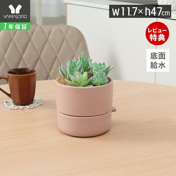 楽天市場】多肉植物 鉢（カラーピンク）の通販