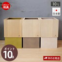【365日出荷&当店限定特典付】ゴミ箱 おしゃれ ダストボックス 北欧 シンプル ごみ箱 日本製 W CUBE セン ダブルキューブ 木 天然木 木製 日本製 ...
